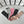 CREW SOCKS 423808 (1 BOX)