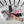 CREW SOCKS 423808 (1 BOX)