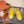 LP Nantucket Walk Sneaker Yellow Leather 723194
