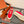 LP Nantucket Walk Sneaker Red Cotton 723198