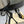 Jimmy Zea 95 In Black Cowhide Sandals With Metal Flowers 591586
