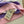 Fendi 26s Polo Rayé Tricot Rose Violet 363765