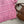 Miu 26s Pullover Pink Knit 363760
