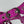 LE CAGOLE SMALL SHOULDER BAG 26 WITH RHINESTONES IN DEEP PINK CROCODILE EMBOSSED CALFSKIN
