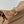 RODEO SMALL BAG 29 IN CAMEL BEIGE SMOOTH CALFSKIN GOLD HARDWARE