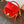 Wallet On Chain Capucines handbag Red Cowhide 250407