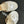 mule sandal flower white beige lambskin