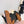 Miu 25C Ruches nappa Loafers Copper Brown Suede 235807