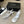 CC 26s Strappy Sandals 6cm White Sheepskin 736750