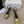 CL Triomphe Sandal 6.5cm Gold Laminated Lambskin 835896