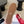 CL Maison Espadrilles Red Canvas 835906