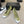 CC 26s Square Toe Pump Olive Sheepskin 835678