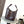Sac Hammock Loewe 15 cm cuir de veau chocolat