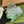 GG MARMONT 16 MINI SHOULDER BAG GREEN IRIDESCENT CALFSKIN