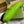 JACKIE SMALL SHOULDER BAG 27 IN LIME GREEN CRACKED LACQUER CALFSKIN GOLD HARDWARE