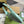 JACKIE SMALL SHOULDER BAG 27 IN MINT GREEN CRACKED LACQUER CALFSKIN GOLD HARDWARE