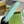 JACKIE SMALL SHOULDER BAG 27 IN MINT GREEN CRACKED LACQUER CALFSKIN GOLD HARDWARE
