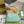 JACKIE SMALL SHOULDER BAG 27 IN MINT GREEN CRACKED LACQUER CALFSKIN GOLD HARDWARE