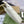 JACKIE MEDIUM SHOULDER BAG 35 IN WHITE CALFSKIN GOLD HARDWARE