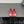 CC 26s Coco Beach Split-Toe Ballet Flats Red Lambskin 832538