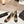CC 24P SLINGBACKS 95MM BEIGE BLACK LAMBSKIN
