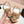 cc slingbacks 55 beige lambskin embroidery grosgrain
