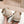CC Mary Jane Beige Bow Tie Velvet And Lambskin