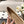 cc 25c ballerina modello cross line beige pelle di agnello 237484 