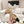 cc 25c slingback 55mm cross line pattern beige lambskin 237495