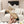 cc 25p mary jane beige pelle di agnello nero fantasia 237516 