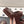 CC 25 Dad Sandal Mule Deep Brown Patent Leather 237578