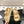 CC 25 Dad Deals Sandals Yellow Pastel Patent Leather 237589