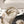 CC 25 Dad Deals Sandals Beige Cream Patent Leather 237593