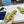 CIABATTE PRA SAFFIANO VERNICIATE MOTIVO STRUZZO PEAR CALFSELL