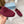 Prada 25SS Casual Elastic Loafers Wine Red Suede 564180