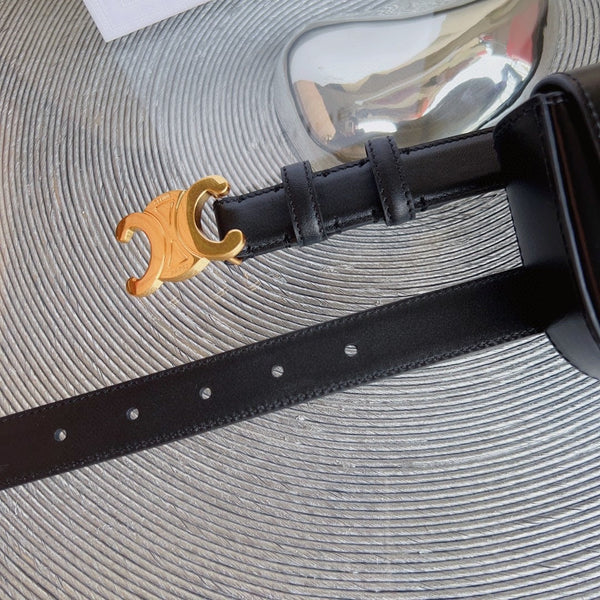 celin black calfskin belt bag triomphe gold buckle
