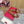 Mule Sandal The Bold Edition Vlogo Square Toe 20mm Brown