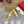 Mule Sandal The Bold Edition Vlogo Square Toe 20mm Gold