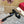Mule Sandal The Bold Edition Vlogo Square Toe 20mm Black