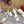 Slingback Sandal 70 The Bold Edition Vlogo Square Toe White