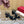 Sandalo con cinturino posteriore 70 The Bold Edition Vlogo punta quadrata nero