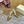 Jimmy Saeda 105 In Gold Pearl Studded Lambskin Pumps 581505
