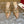 Décolleté con cinturino posteriore traforato Vlogo Signature con cristalli, 70 in pelle di vitello beige