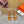 IVRESSE 65 SANDAL TAWNY SUEDE
