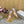 Jimmy Saeda 100mm In Multicolor Satin Pumps With Crystal Embellishment 641060