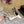 SL DUNE SLINGBACK PUMPS BISQUE SATIN