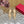 VLOGO SIGNATURE SEPIA TAN CALFSKIN SLINGBACK PUMP 80 MM
