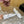 Alaia Strass Ballet Flats In White Calfskin With Fleece Lining 926039