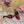 DC Keira Open-Toe Mules Red Leopard-Print & Sheepskin 925997