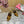 DC Keira Open-Toe Mules Yellow Leopard-Print & Sheepskin 926005